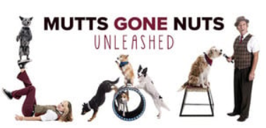 Mutts Gone Nuts - Unleashed