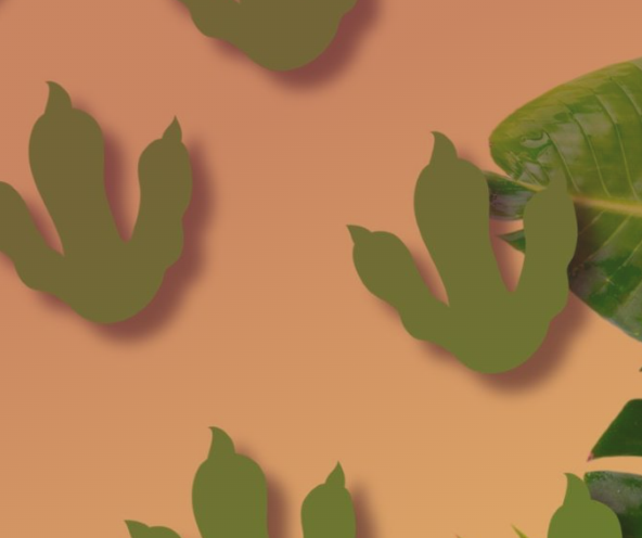 Dinosaur Dimensions