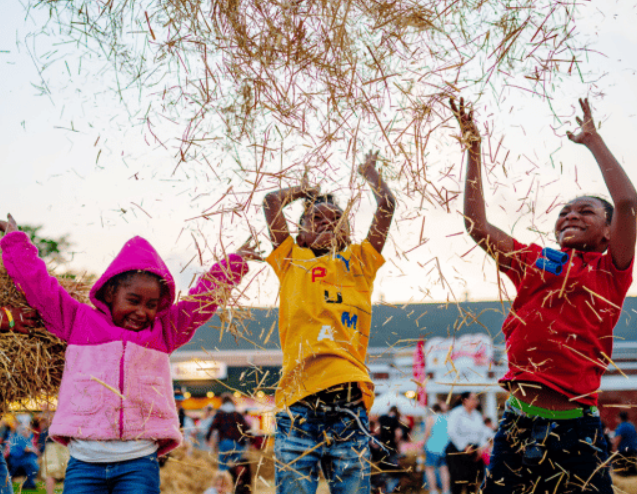 HARVEST FAIR